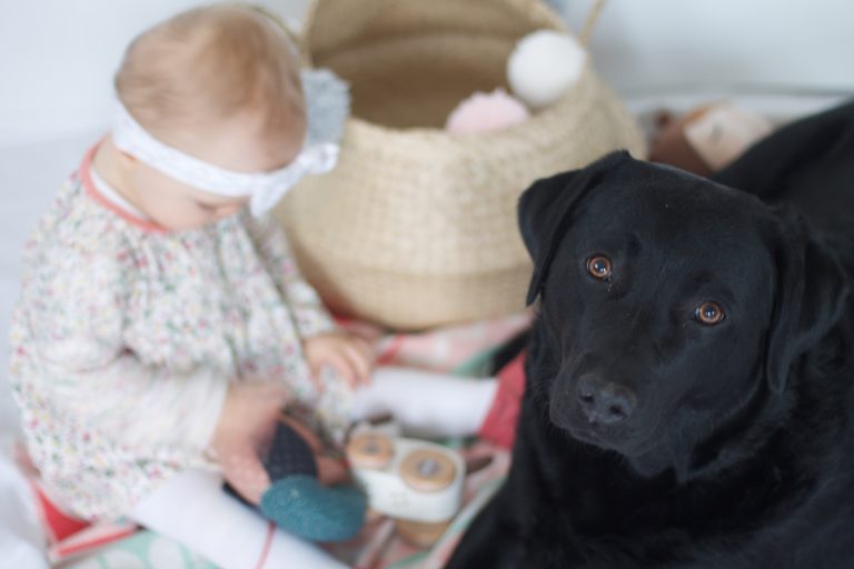 Baby und Hund ein super Team
